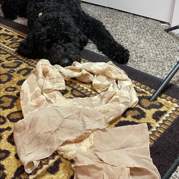 🧣 Coach Silk Rhinestone Logo Scarf — Listing Description - Picture 3 of 6